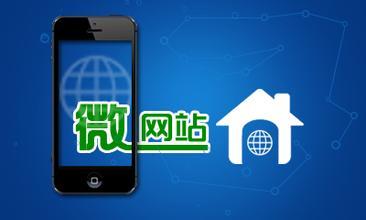 微網(wǎng)站開發(fā)有什么商業(yè)價(jià)值